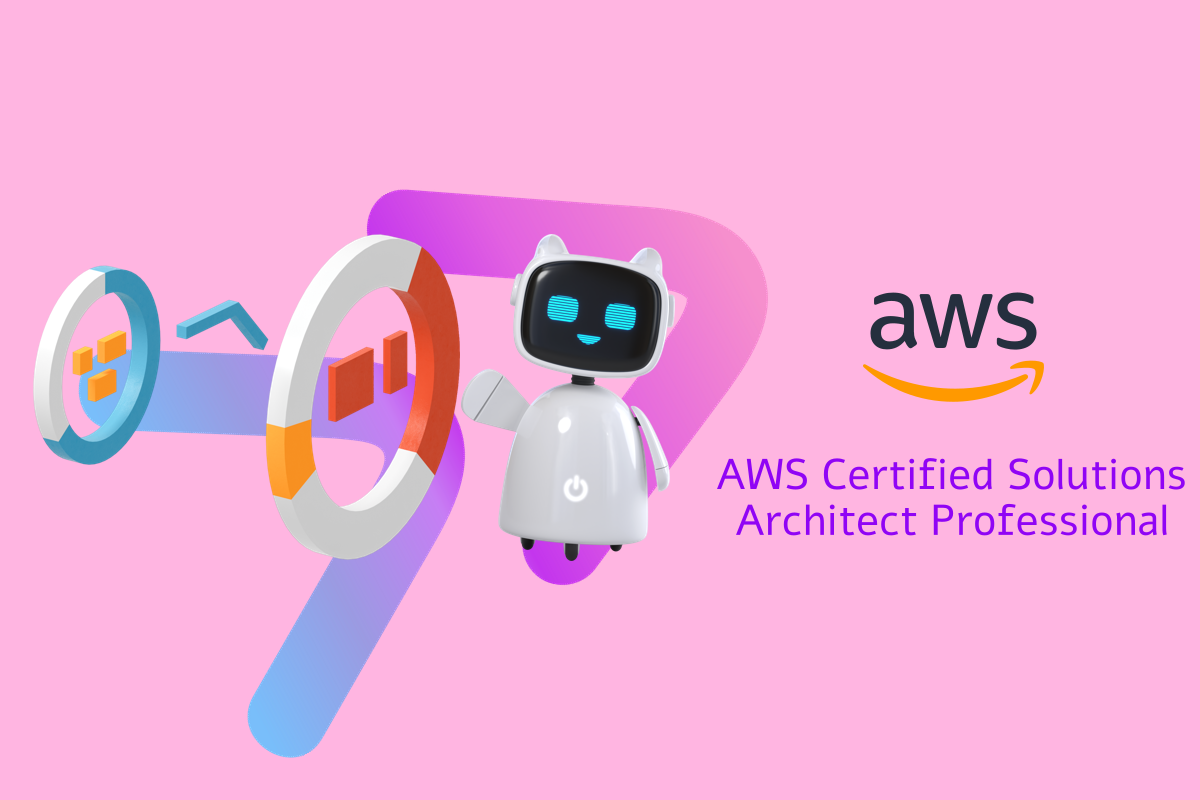 AWS Certified Solutions Architect Professional